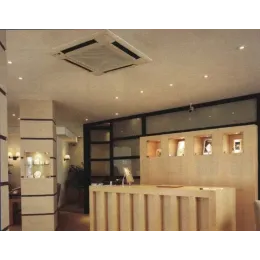 Daikin FFQN25CXV / RYN25CXV с зимним комплектом (-40)